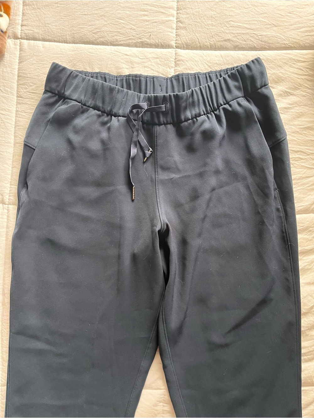 Lululemon Blue Jogger Pants